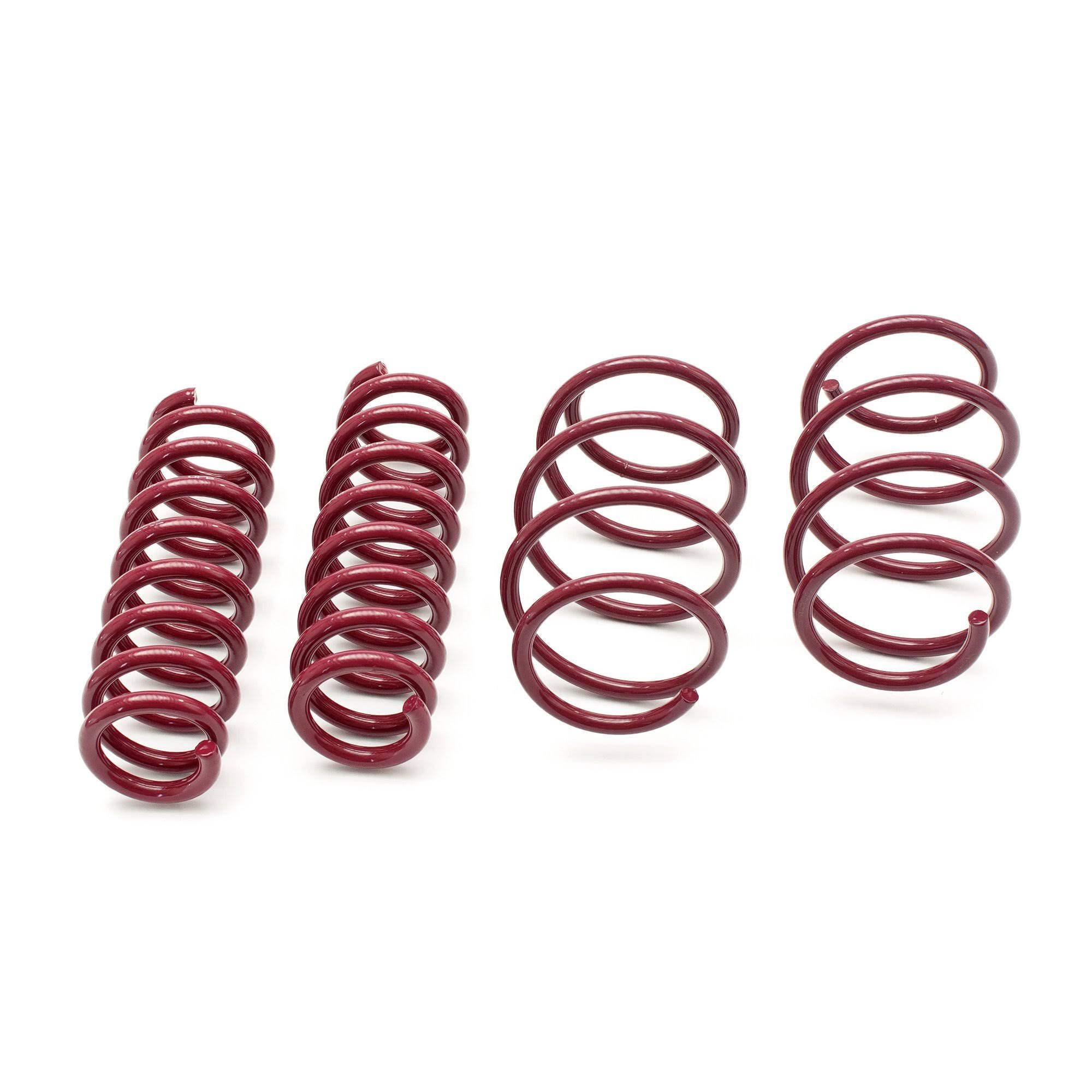 Vogtland 953131 Sport Lowering Spring Kit HJ1s
