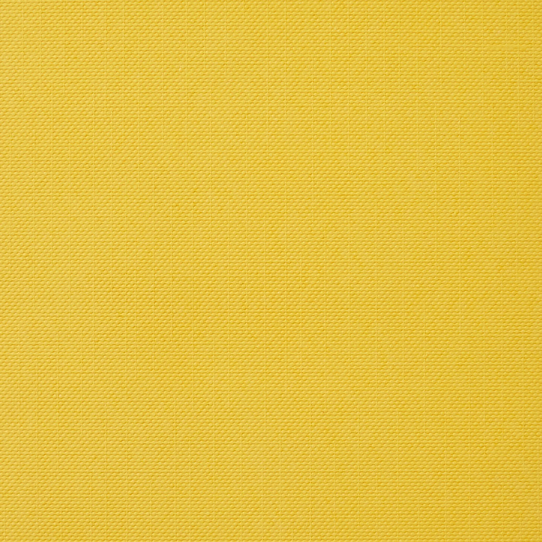 Cricut Joy™ Insert Cards, Night Bright Sampler 4.25" x 5.5"