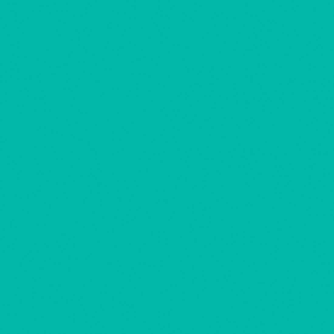 Premium Vinyl™ Sampler, Tropical – Removable