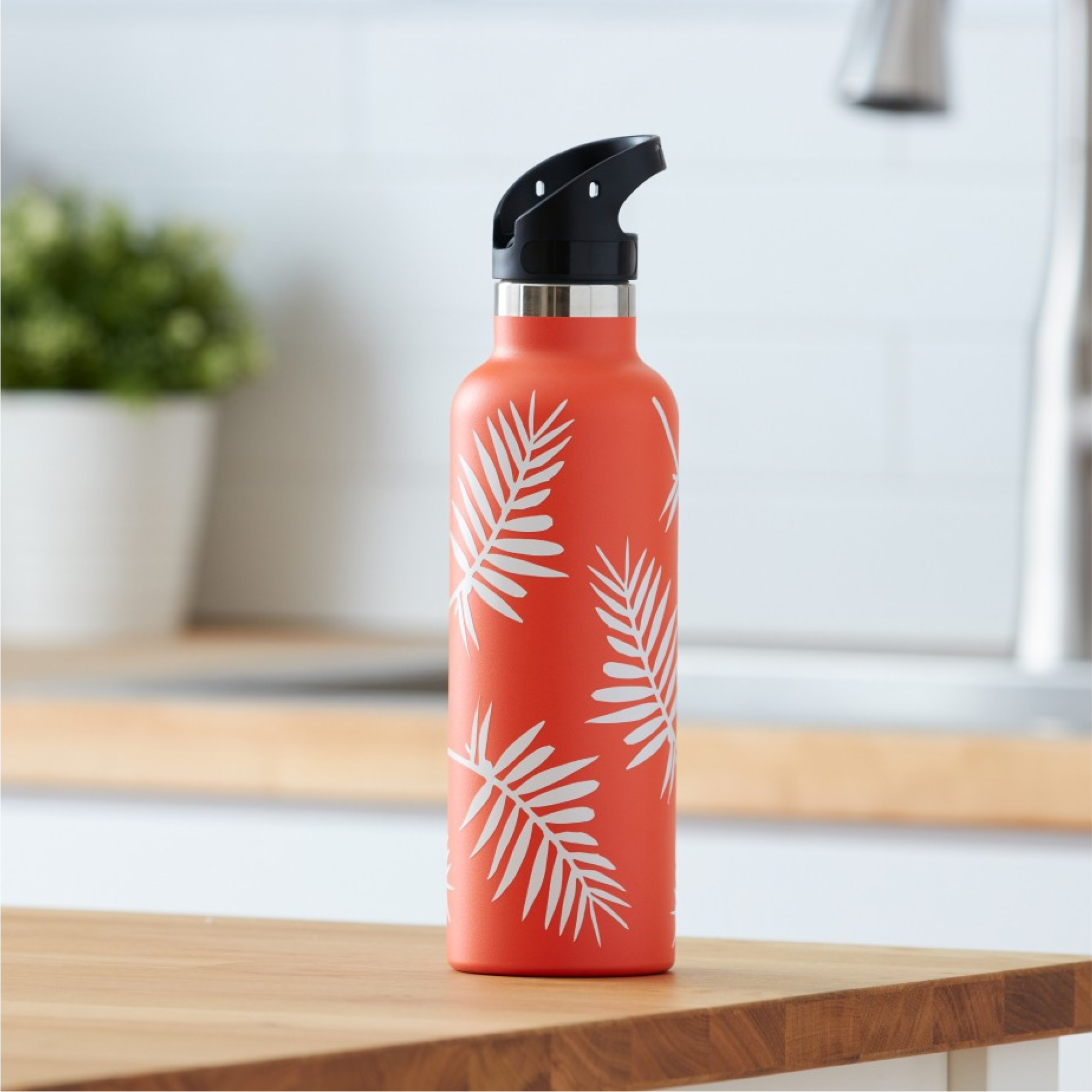 Certified Refurbished Cricut Explore 3 + Essentials Bundle + Cricut Access™ Subscription