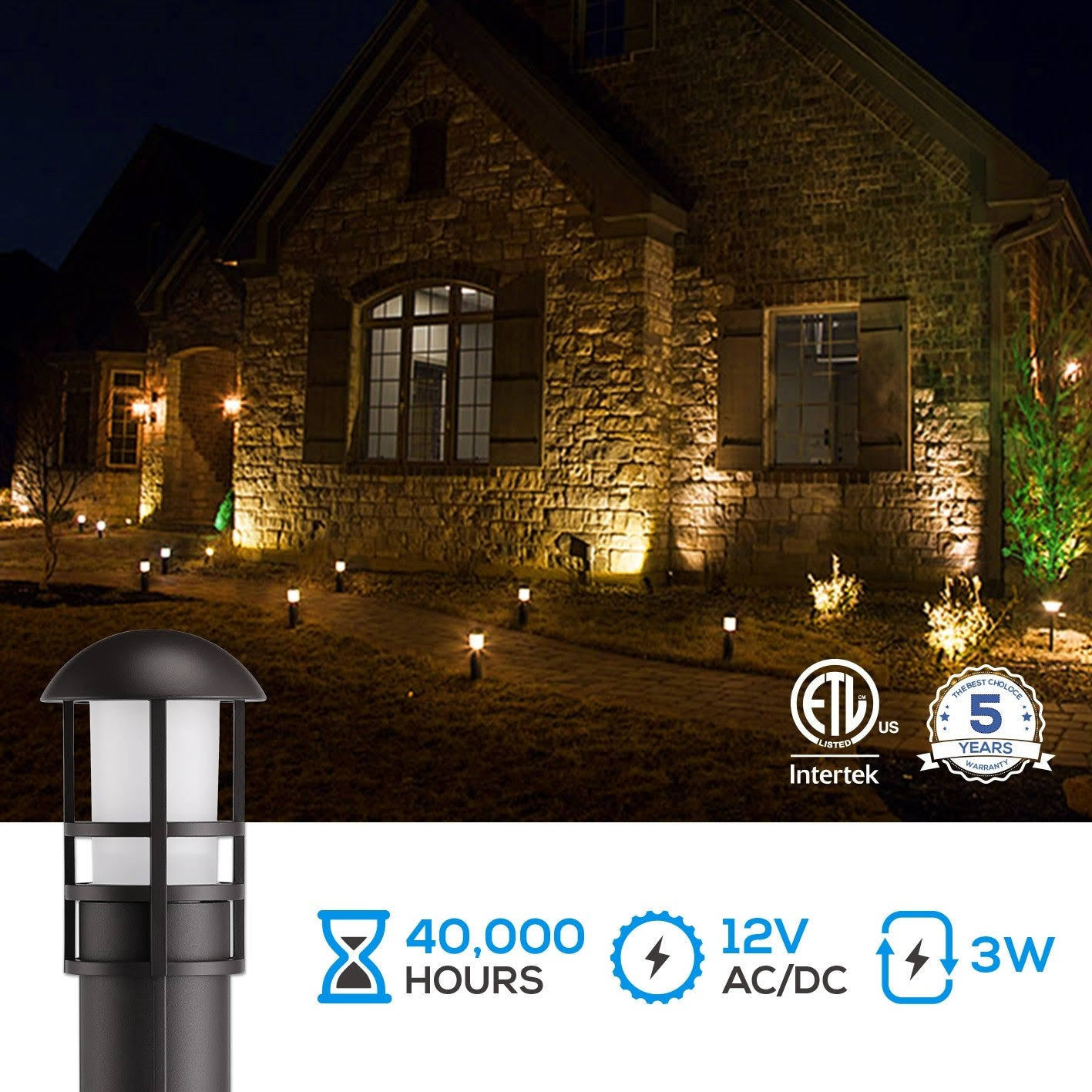 Ornate 3W 12V Low Voltage LED Landscape Light, Etl, 5000K Daylight 6