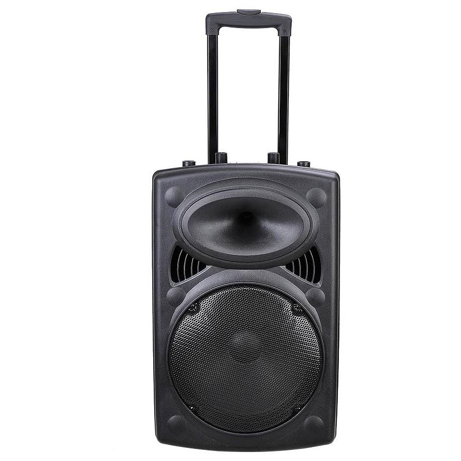 Portable Active PA Speaker Mic Guitar Amp Bluetooth USB SD LCD