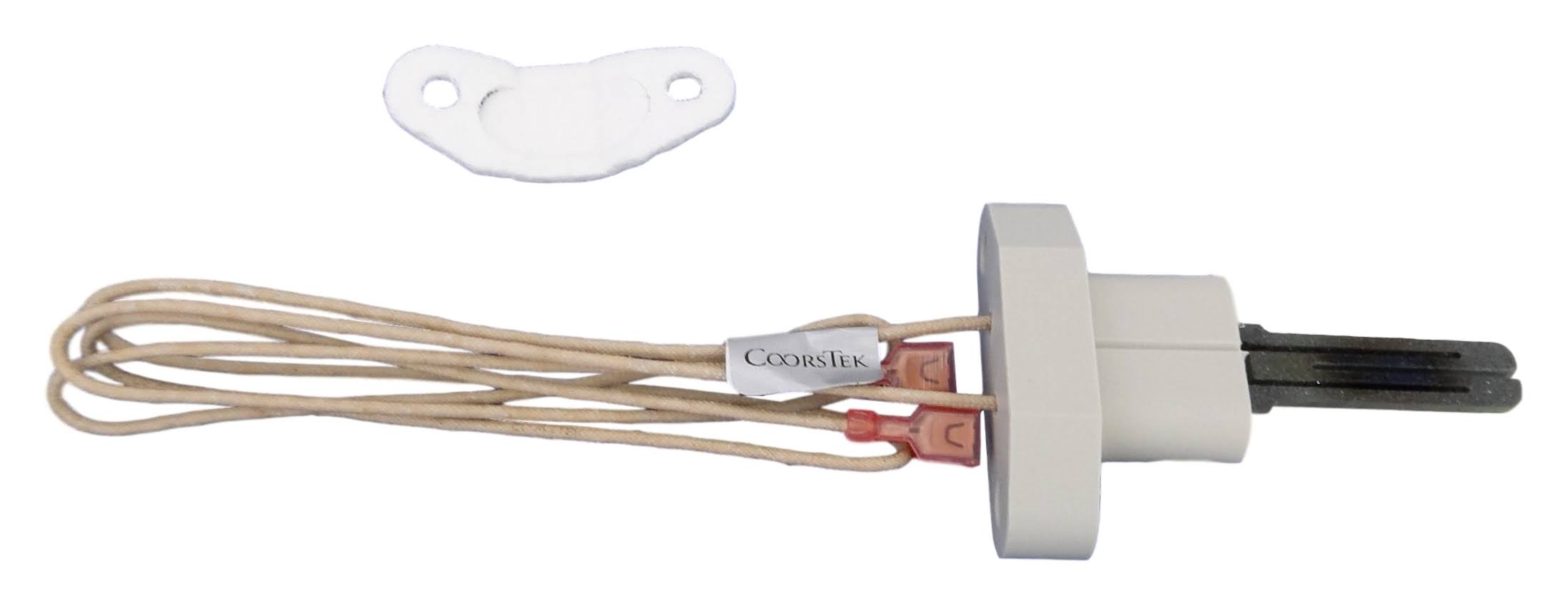 Pentair RW2002300 Ignitor and Gasket Replacement Kit Pool and Spa