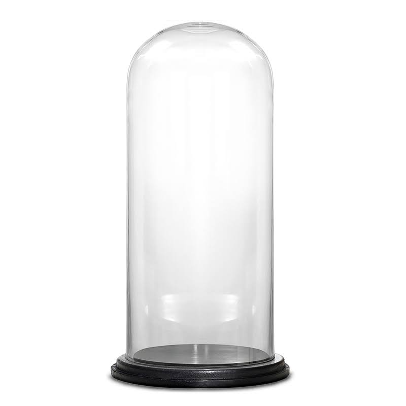 CYSExcel Dome Bell Jar Glass Terrarium - WXF-02