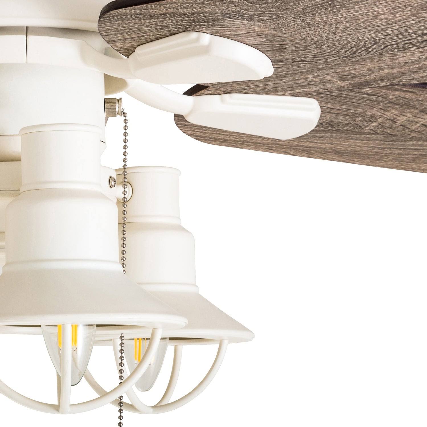 Carbon Loft HaeJoo 52Inch Coastal Indoor LED Ceiling Fan with 5