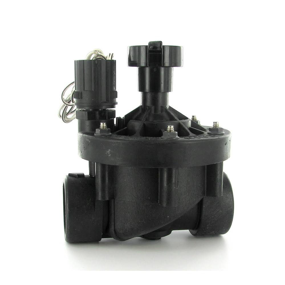 Rain Bird Peb In-Line Valve with Flow Control 2 in. FPT | 200-PEB - WXF-02