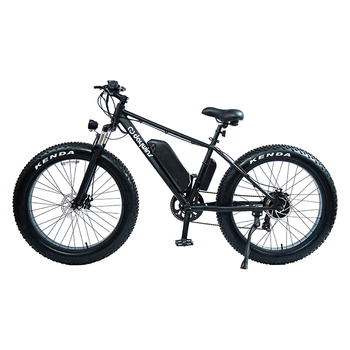 DWMEIGI DW8709 48V 750W Electric Fat Tire Bike