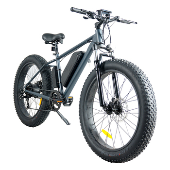 DWMEIGI DW8709 48V 750W Electric Fat Tire Bike