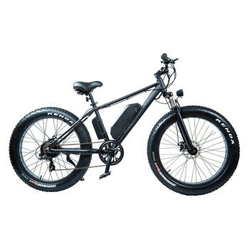 DWMEIGI DW8709 48V 750W Electric Fat Tire Bike