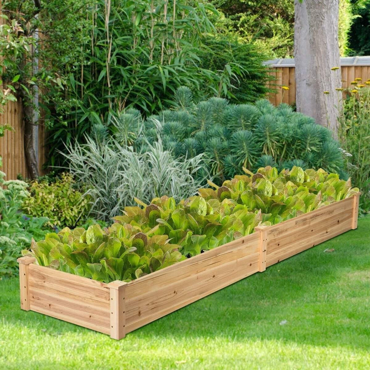 8ft x 2ft Wooden Raised Garden Bed Vegetable Planter Box Kit