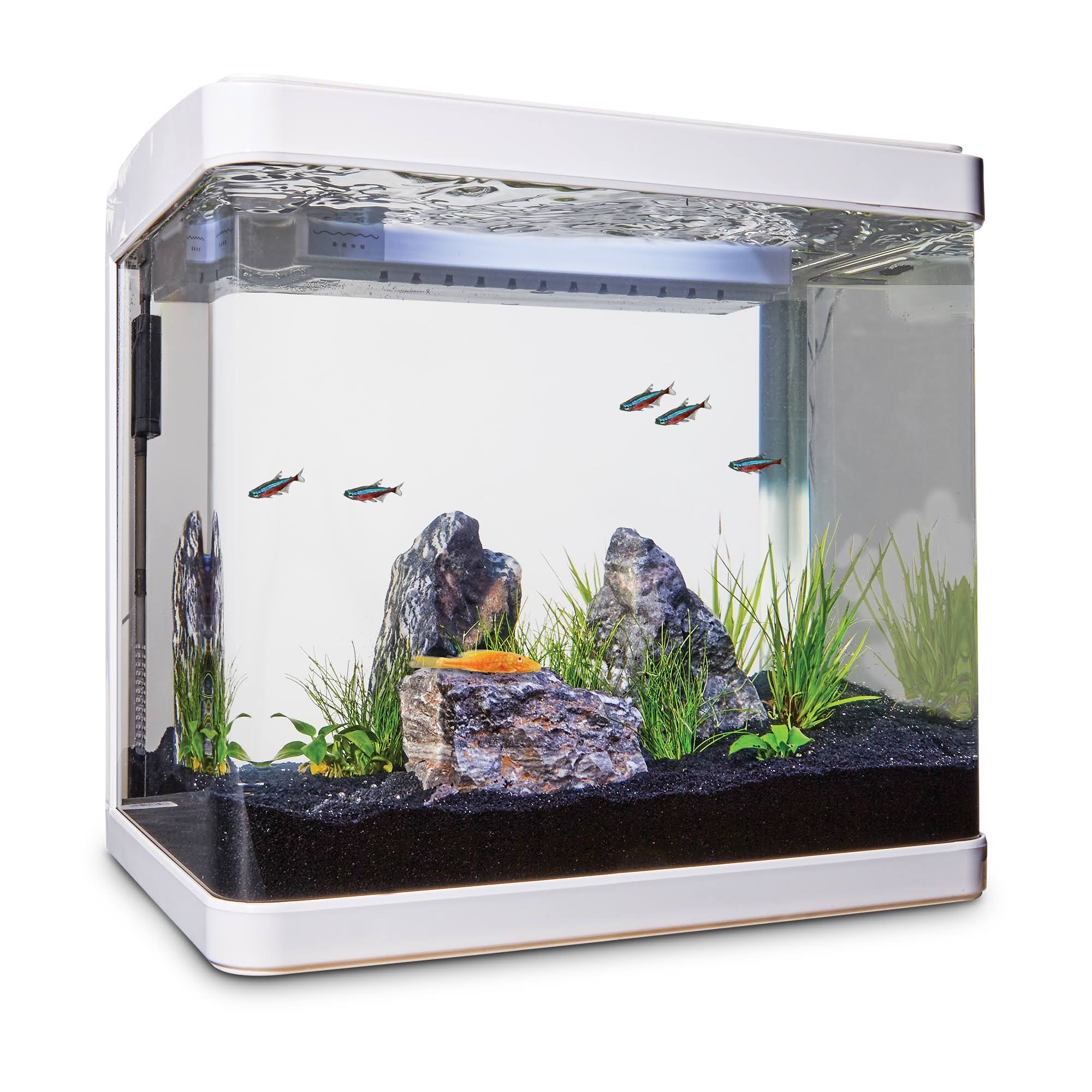Imagitarium Freshwater Cube Aquarium Kit, 5.2 Gal WGL03
