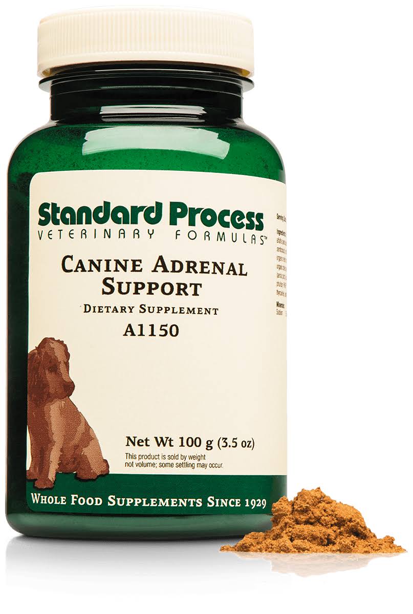 Standard Process Canine Adrenal Support 100 Grams WGL03