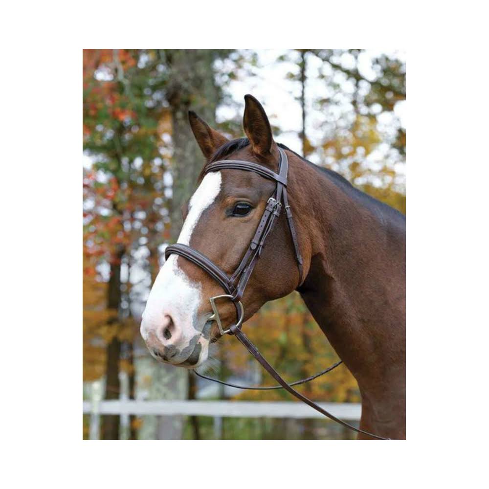 Shires Avignon Ocala Bridle - WGL-03