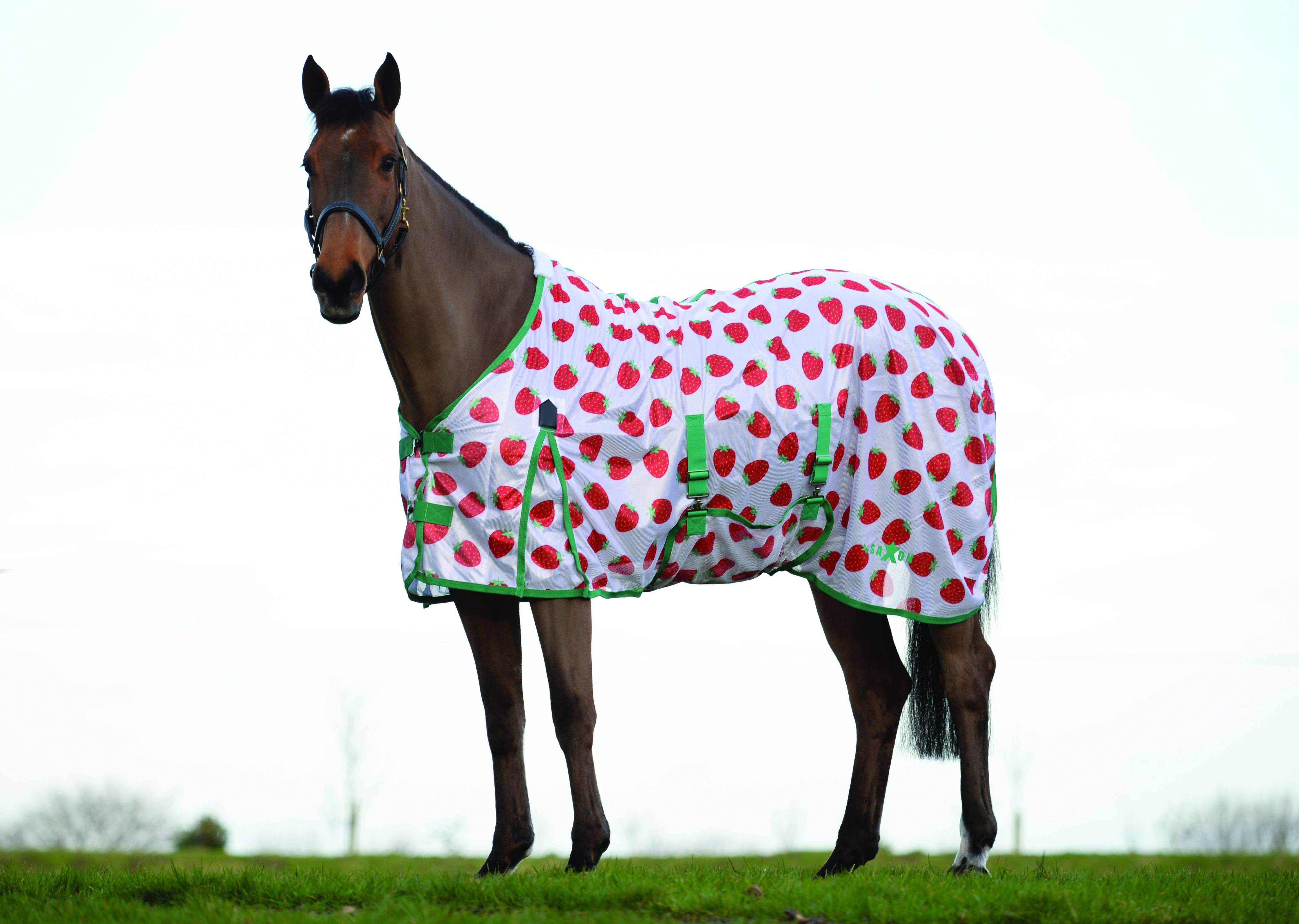 WeatherBeeta® ComFiTec™ Hexi Shield Combo Neck Fly Sheet | Dover Saddlery