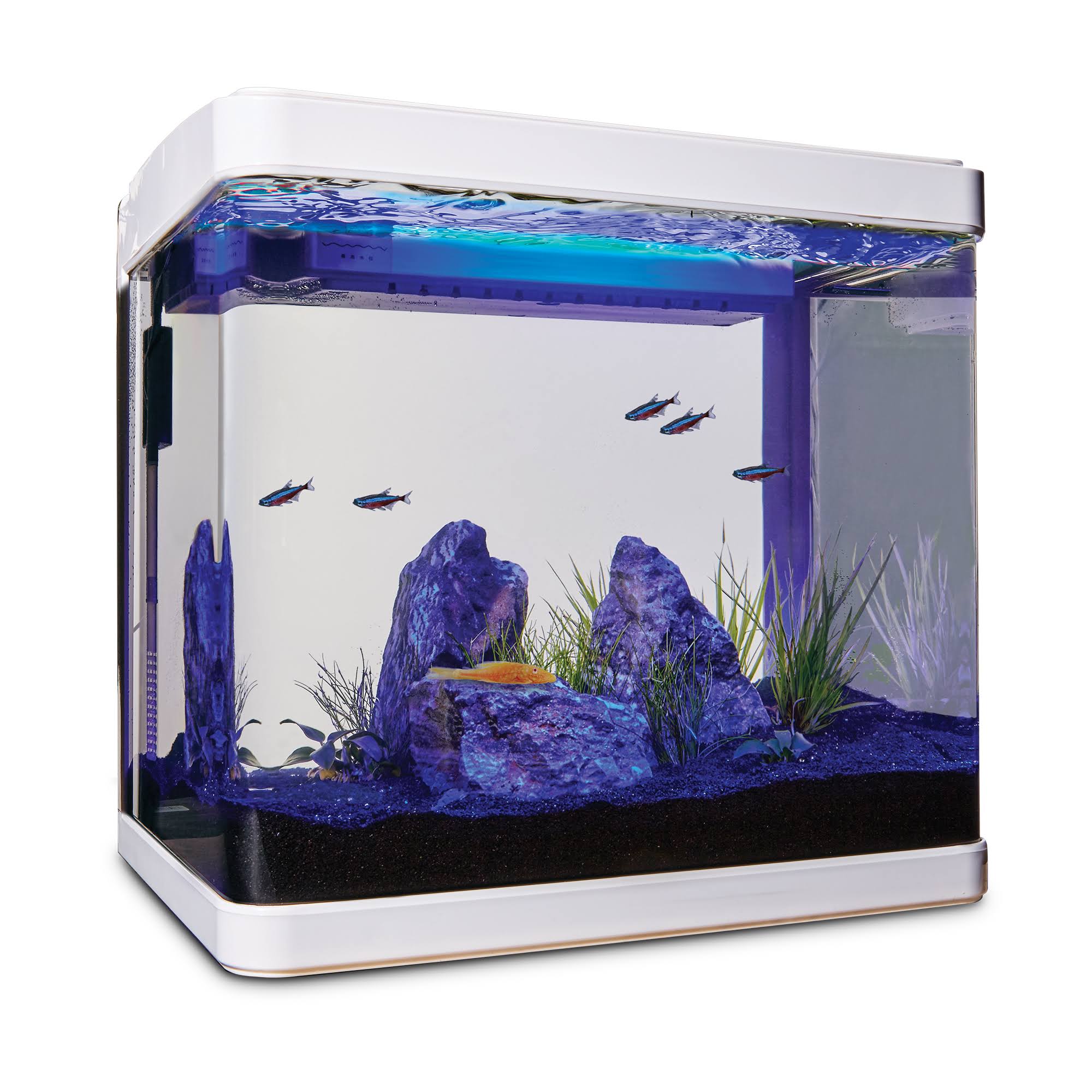 Imagitarium Freshwater Cube Aquarium Kit, 5.2 Gal - Wgl-03