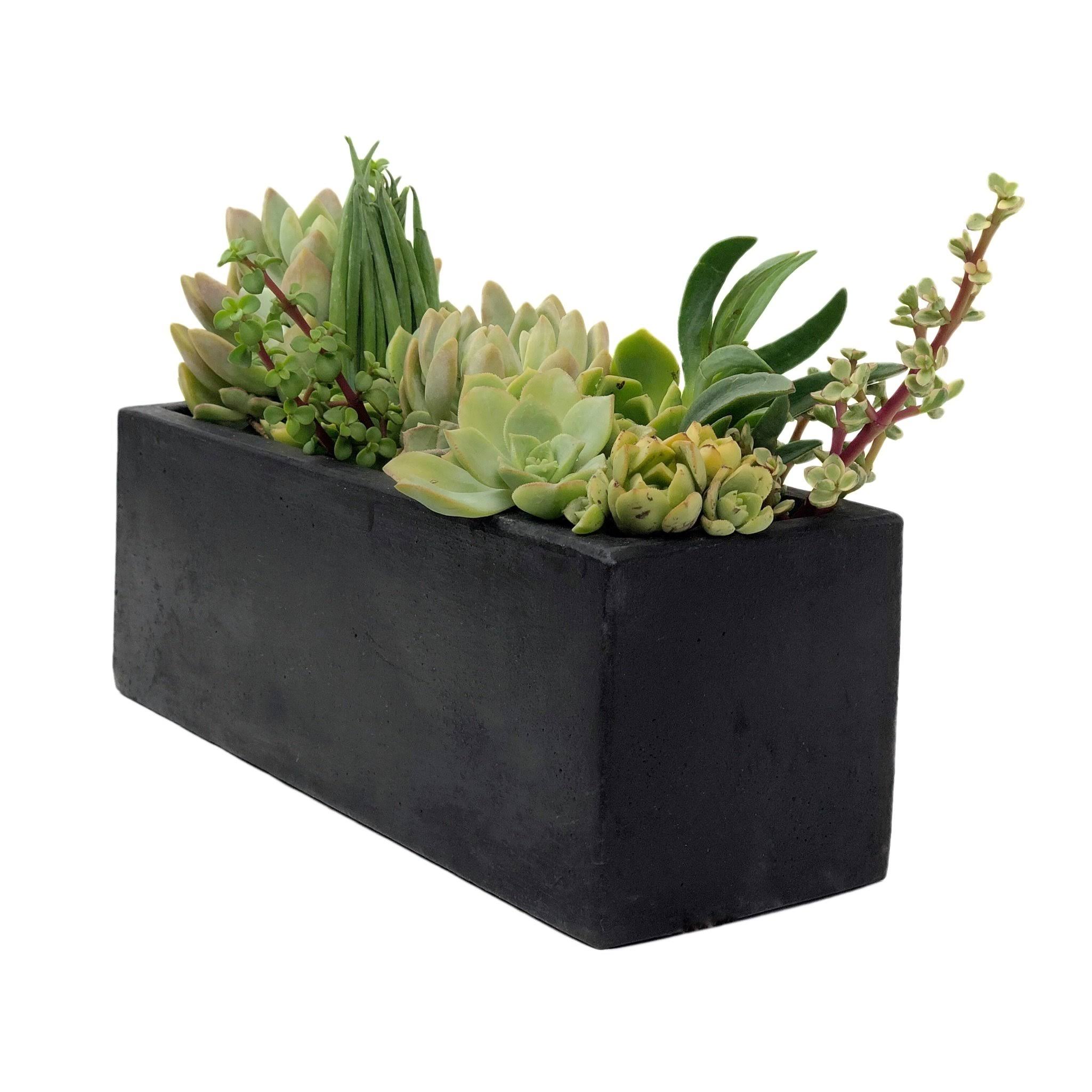 Small Rectangular Planter // Concrete Unicorn Natural Gray - WGL-03