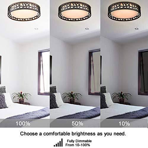 LED Flush Mount Ceiling Light, Vicnie 14 inch 20W Dimmable Round Deco