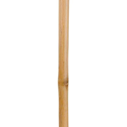 Brazos 48 Free Form Iron Bamboo Walking Stick; Natural - WGL-03