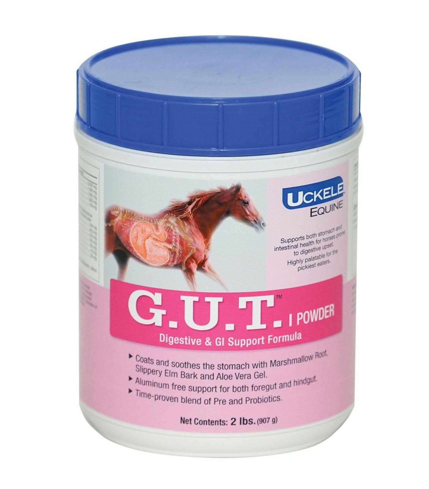 Uckele Gut Horse Supplement , 2Pound WGL03