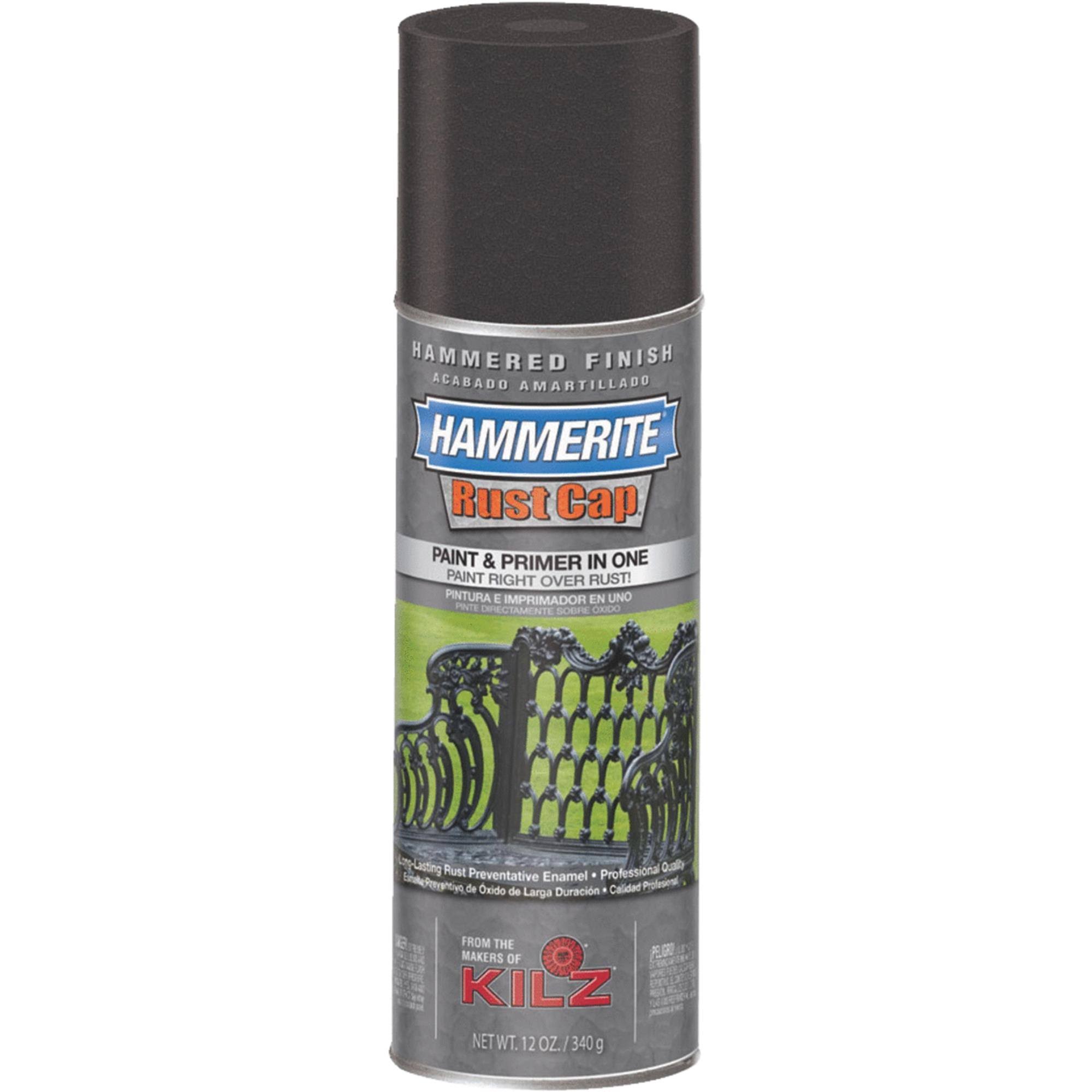 Hammerite Metal Spray Hammered Finish Spray Paint Black, 12 oz. 41140 ...