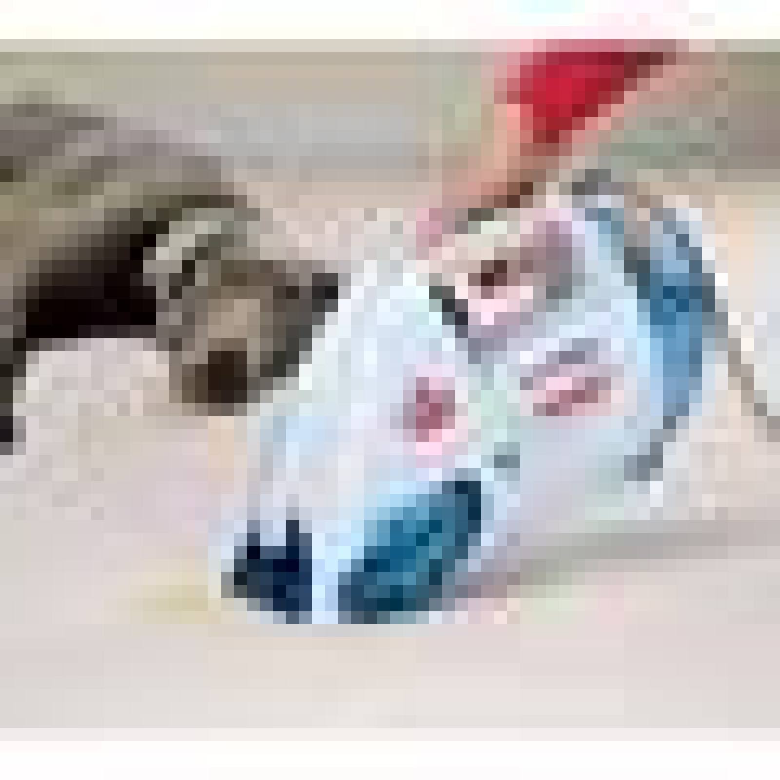 Bissell 1716 Spotlifter Powerbrush Handheld Deep Cleaner WGL03