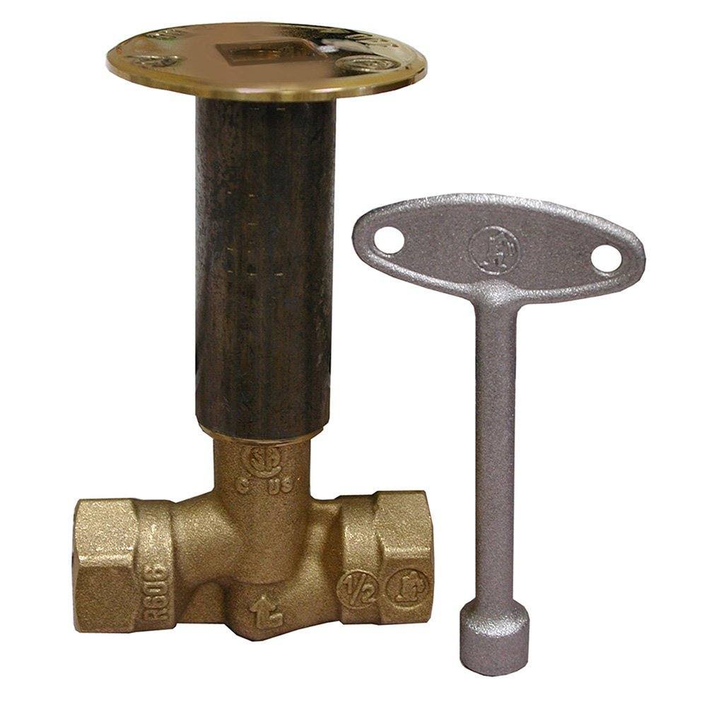 Jones Stephens Polished Brass Straight Standard Log Lighter Valve WGL03