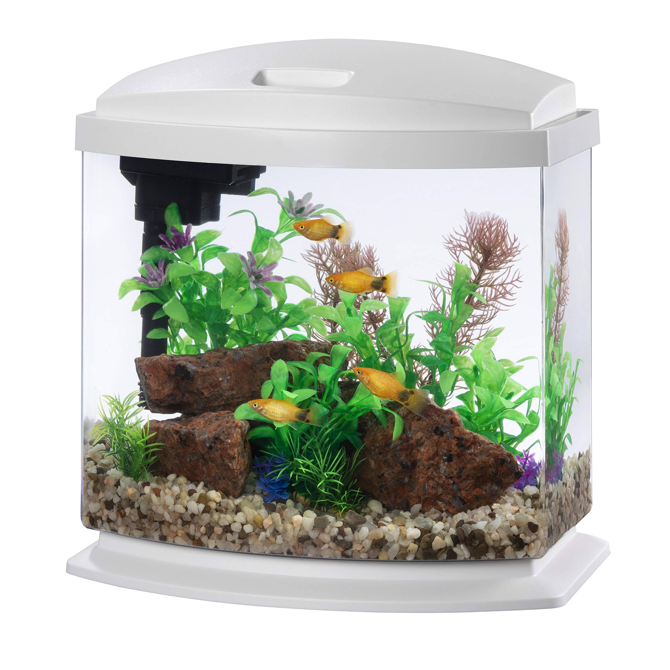 Aqueon LED MiniBow SmartClean Fish Aquarium Kit, White, 2.5-gal ...