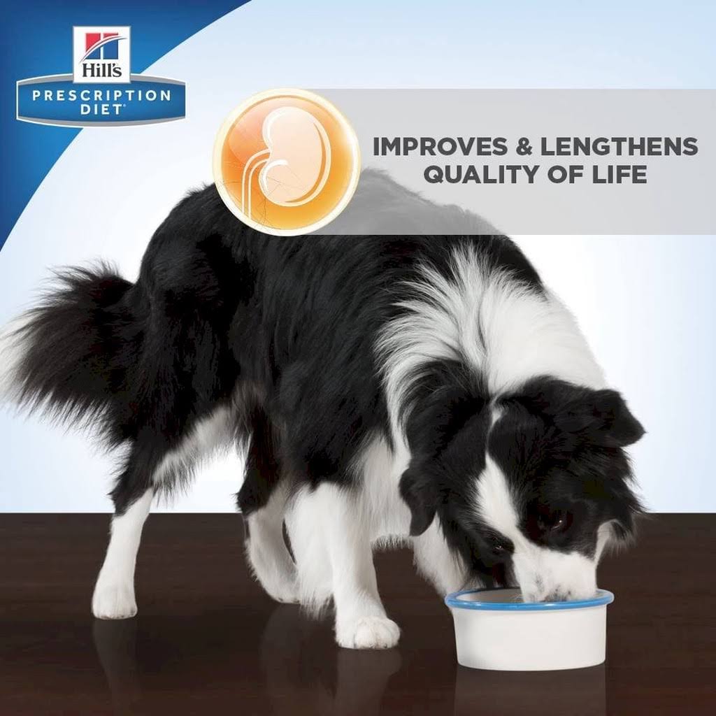 Hill&s Prescription Diet K/D Canned Dog Food, 13oz 12 ct WGL03