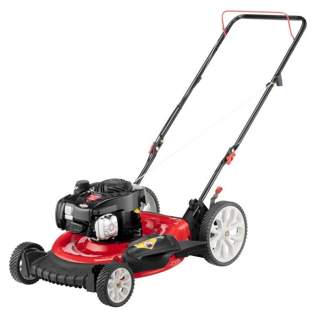 21 In. 140 Cc 550ex Series Briggs & Stratton Gas Walk Behind Push Mower 