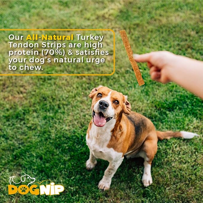Gobble! 6-Inch Turkey Tendon Strips for Dogs, 6 oz. (170g) Reseal Value Bag, Made in USA, All-Natural Hypoallergenic Dog Chew Treat | Sourced, Processed & Packaged in The USA |