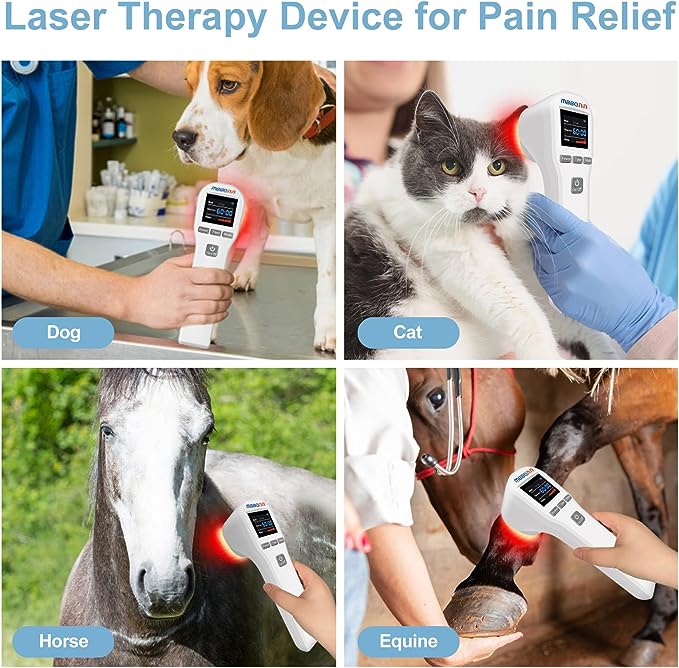 MBBQNN Cold Laser Therapy Device 4x808nm +16X650nm Low Level Laser Therapy for Pain Relief Arthritis Muscle Joints Tissue Red Light Therapy for Dog Cat Horse Pets Wound Healing Reduce Inflammation