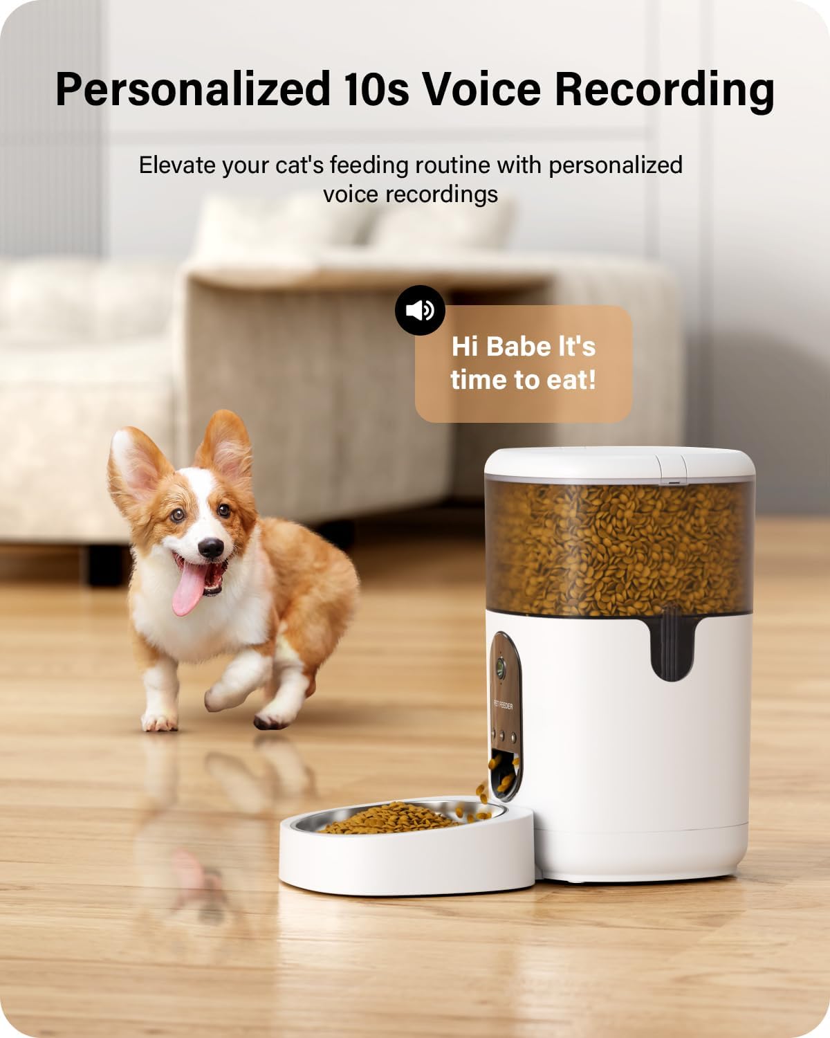 Hicreate Automatic Cat Food Dispenser with Camera