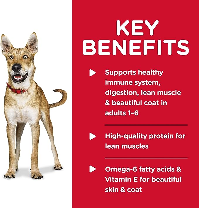 Hill's Science Diet Wet Dog Food, Adult 1-6, Chicken & Barley Entrée, 13 oz. Cans, 12-Pack