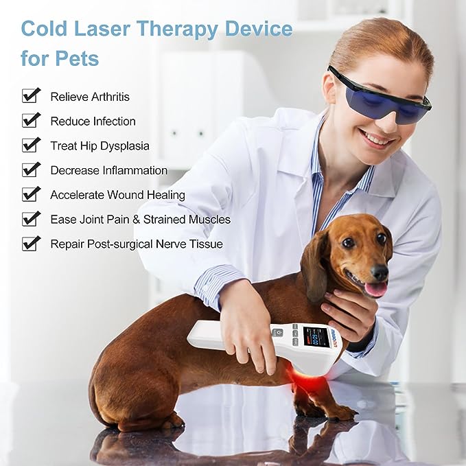 MBBQNN Cold Laser Therapy Device 4x808nm +16X650nm Low Level Laser Therapy for Pain Relief Arthritis Muscle Joints Tissue Red Light Therapy for Dog Cat Horse Pets Wound Healing Reduce Inflammation