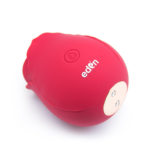 Naughty rose Rechargeable oral clit stimulator
