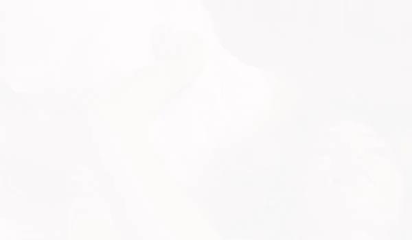 Ultimate satisfier Glass realistic dildo