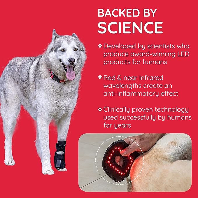 Healed LED Pet Remedy Wrap (Large) - Near Infrared & Red Light Therapy for Dogs, Cats & Rabbits I Non-Invasive Pain Relief for Stiffness, Immobility and Joint Pain I Pet Anxiety Relief - 12x24x5.5cm