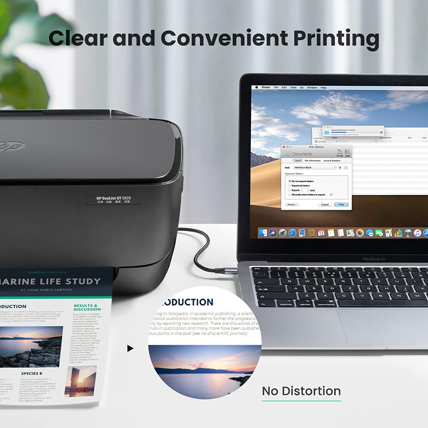 UGREEN USB C Printer Cable to USB B 3 FT