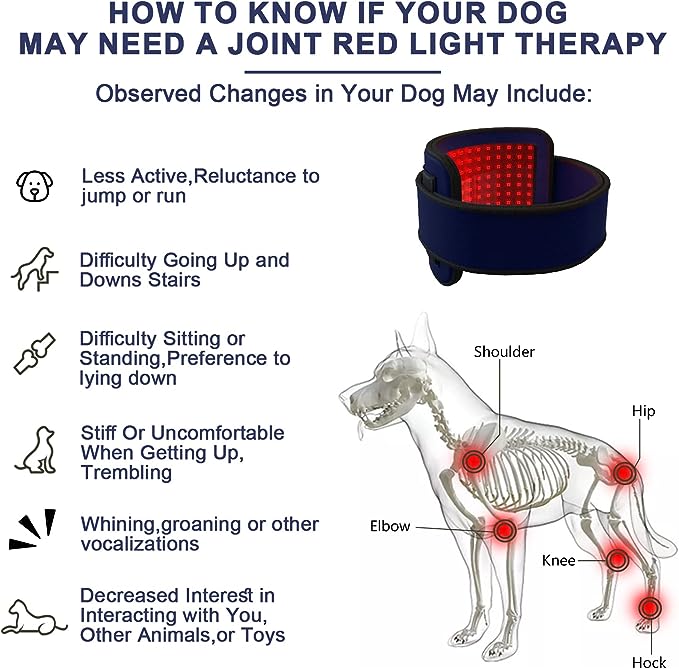 PUPCA Cold Laser Therapy Device for Dogs, Infrared Light Therapy for Pets, Red Light Therapy Belt for Joint and Muscle Pain Relief, Suitable for Dogs, Cats, Horses