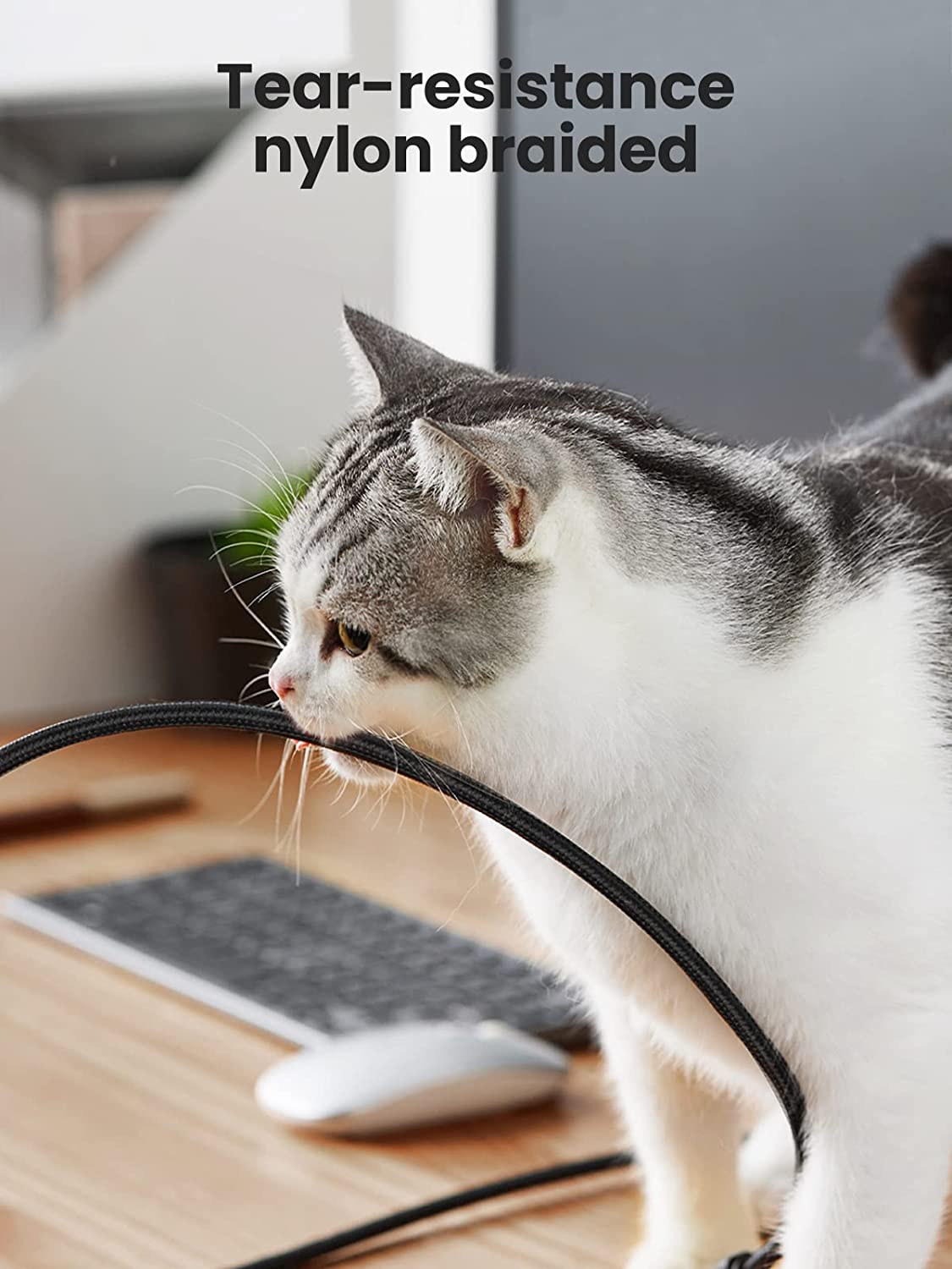 UGREEN USB C to USB C Cable