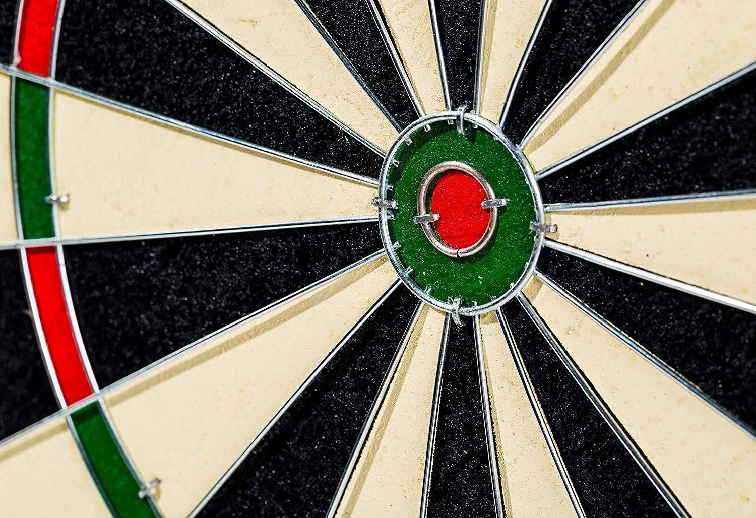 🔥Franklin Sports Professional Wire Dartboard Regulation Size Dartboard 18x22 inch Bristle