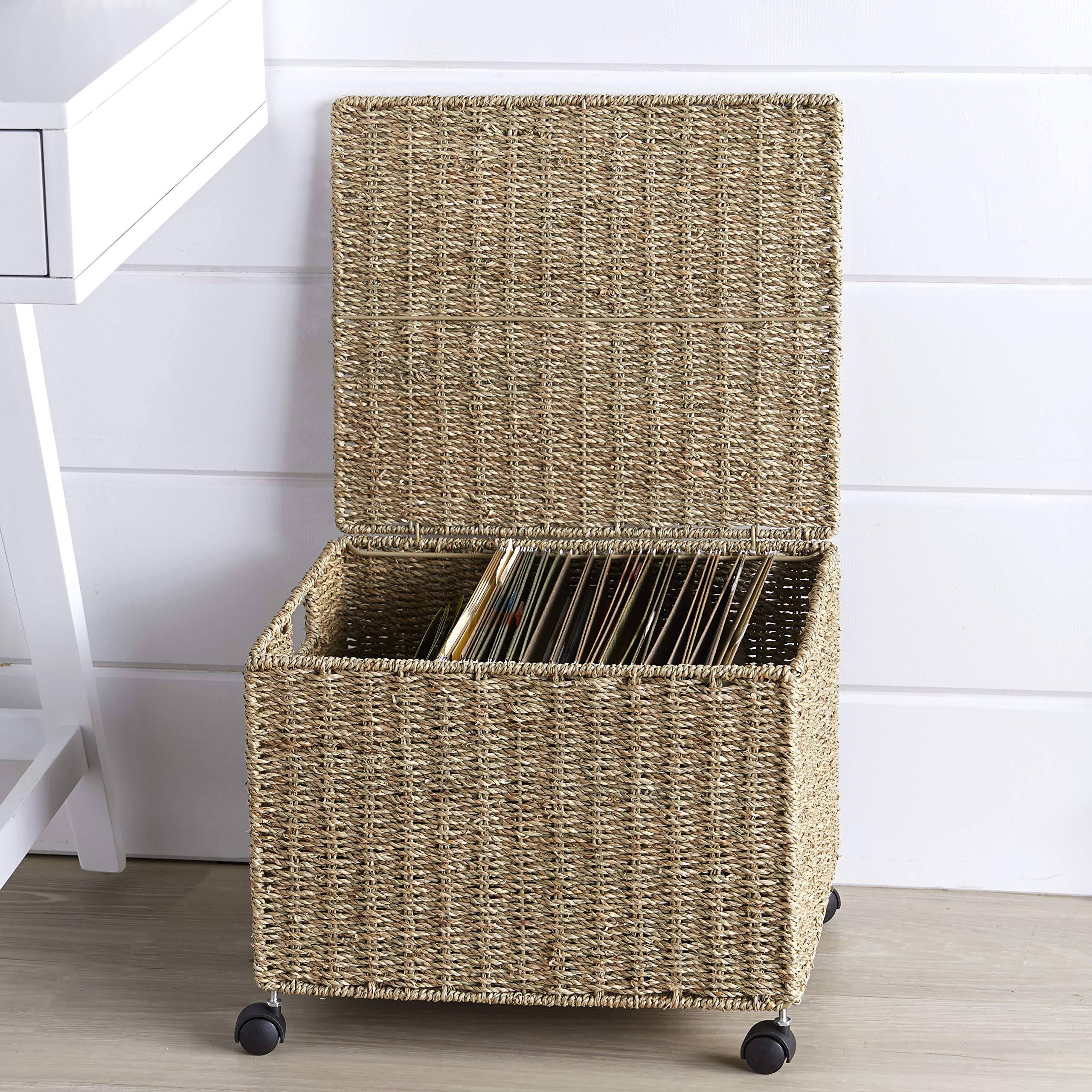 🔥Seagrass File Organizer Basket with Rolling Caster Wheels and Top Flap CT03s