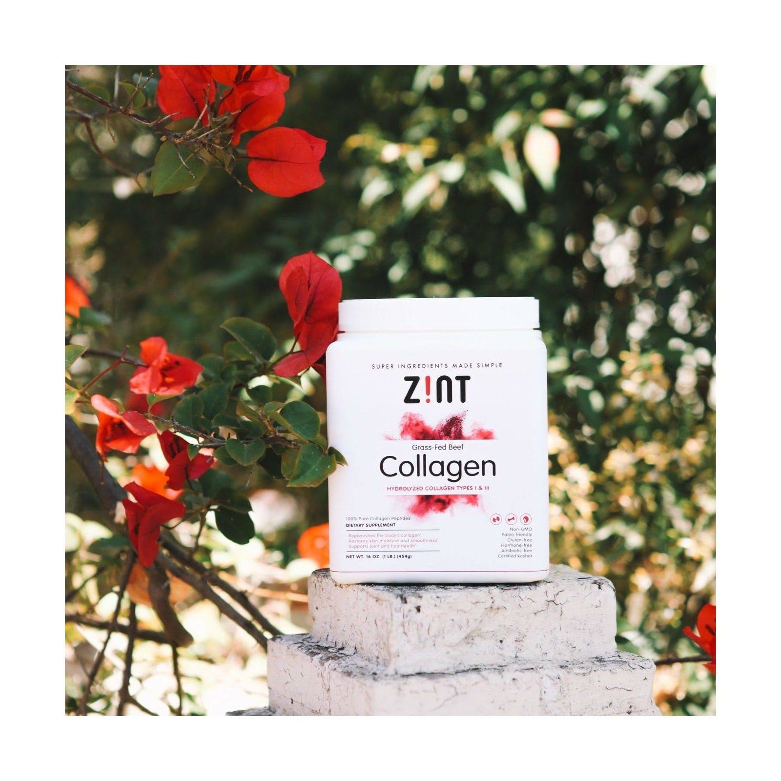 Zint Collagen Hydrolysate 2 Lbs CT 03 S C0c6ede3 21f7 4aeb 80eb