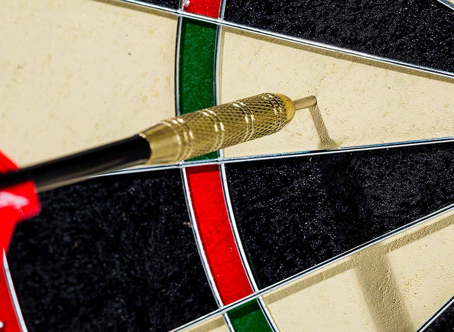 🔥Franklin Sports Professional Wire Dartboard Regulation Size Dartboard 18x22 inch Bristle