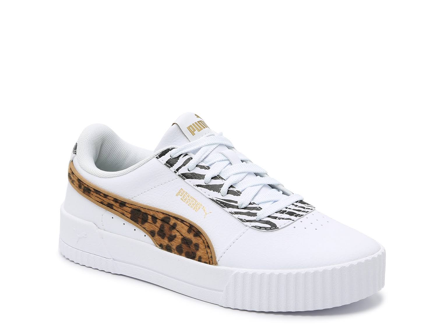 puma carina cheetah