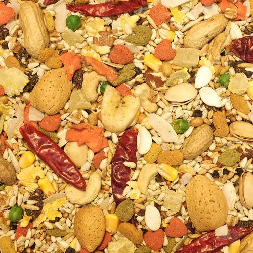 Higgins Safflower Gold Parrot Bird Food, 25lb bag MintFabStore