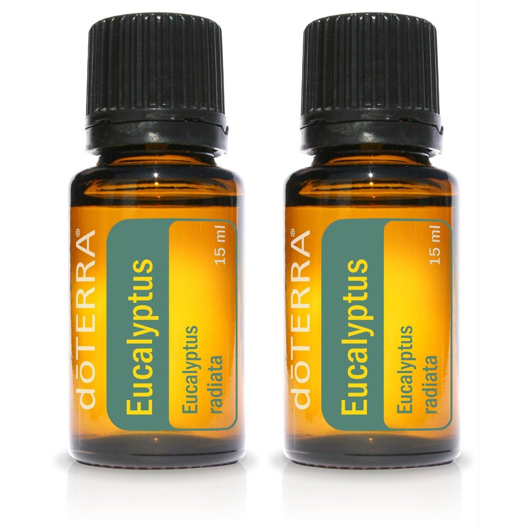 Doterra Eucalyptus Essential Oil 15 Ml 2 Pack Mintfabstore 0343