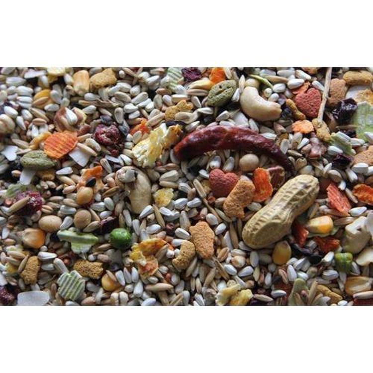 Higgins Safflower Gold Parrot Bird Food, 25lb bag MintFabStore