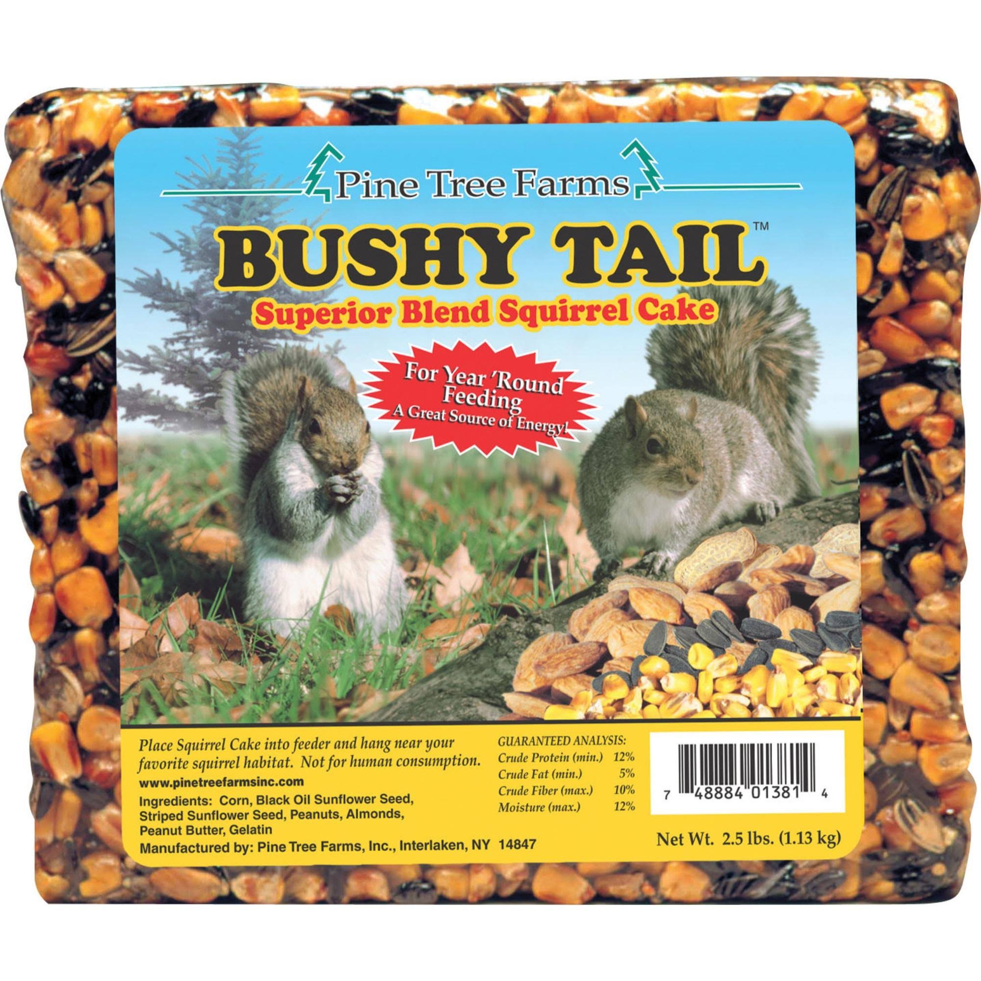 Pine Tree Farms Bushy Tail Squirrel Cake - 2.5 lbs - MintFabStore