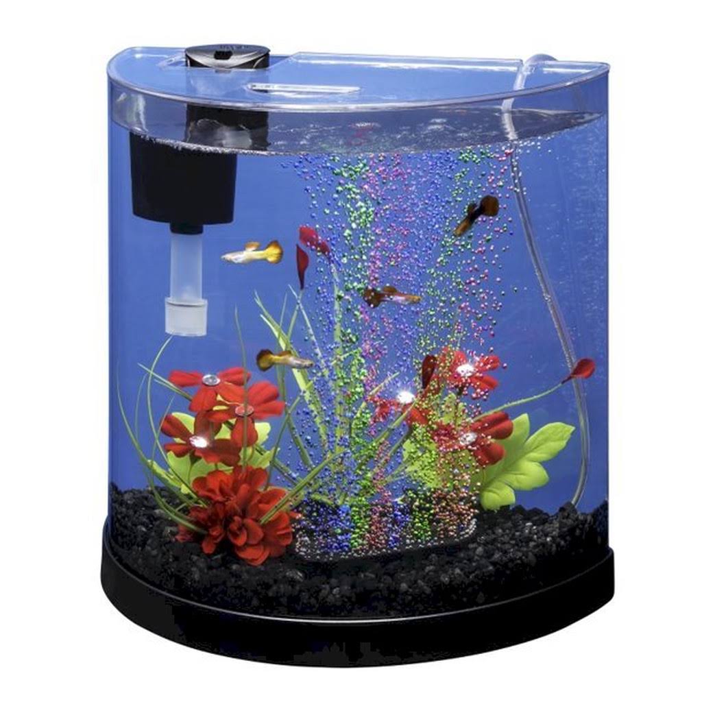 Tetra Bubbling LED 3 Gallon Half Moon Aquarium Kit - MintFabStore